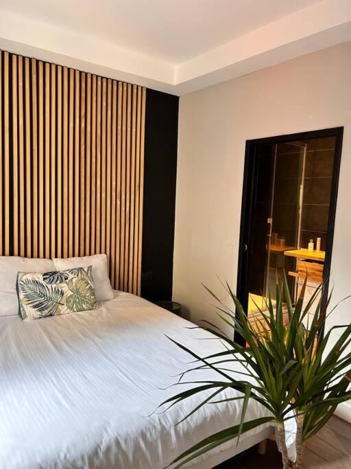 Appartement Cosy Centre Ajaccio Ajaccio  Dış mekan fotoğraf